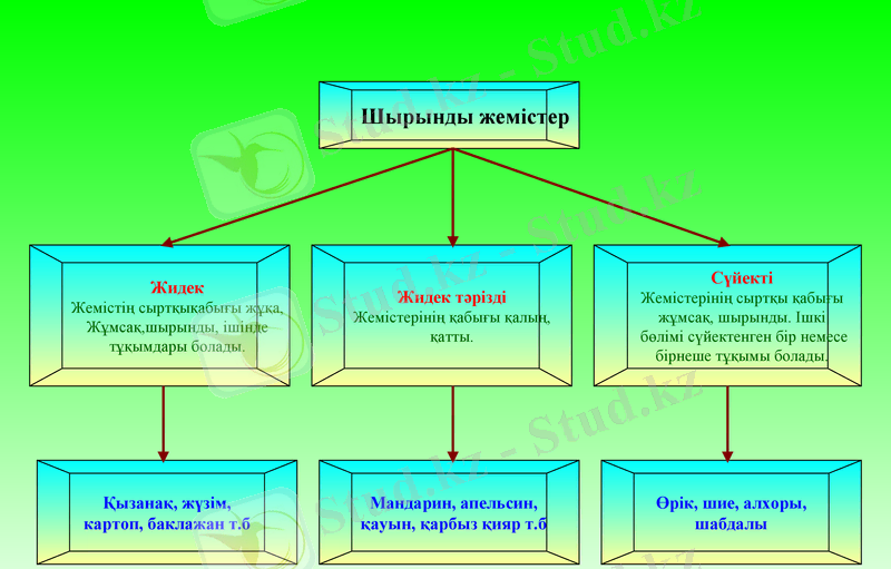 Slide 7
