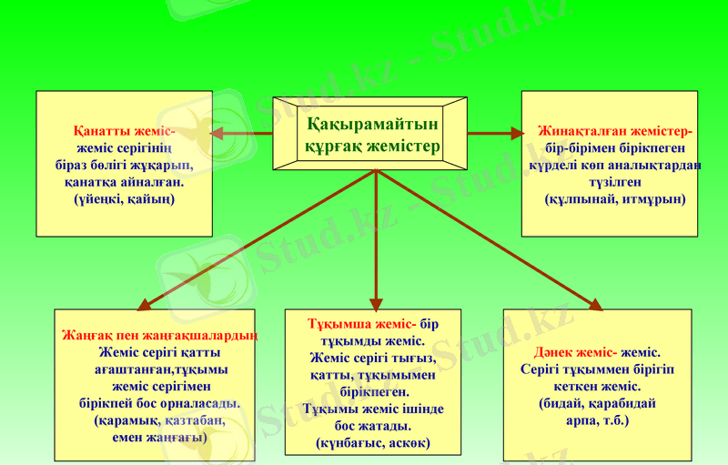 Slide 9