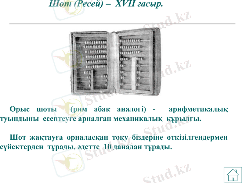 Slide 11