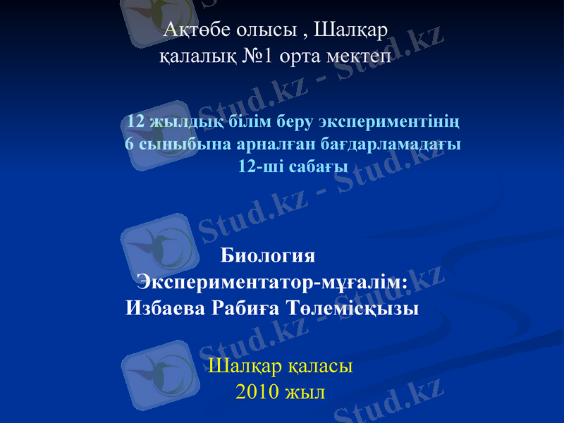 Slide 1