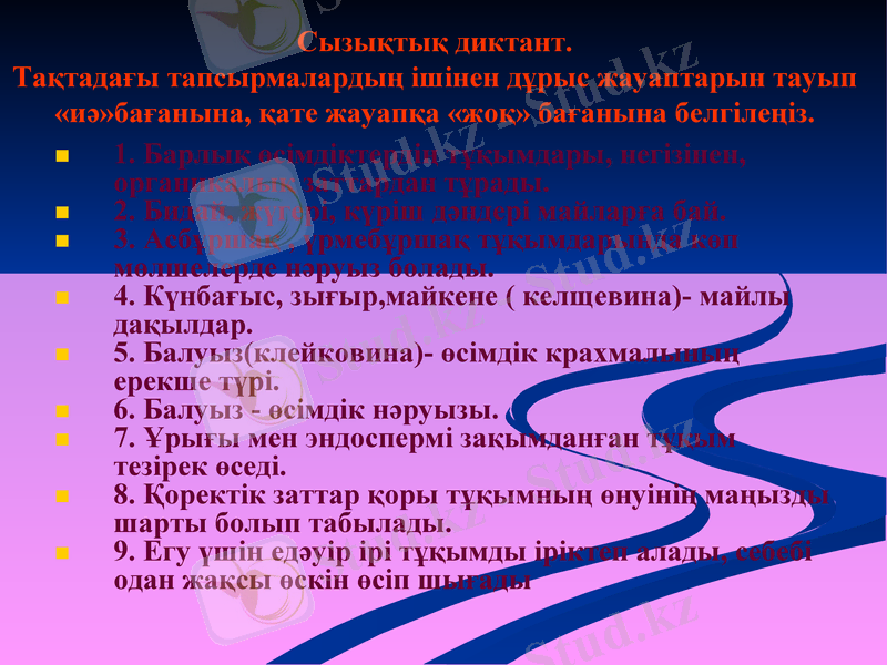 Slide 11