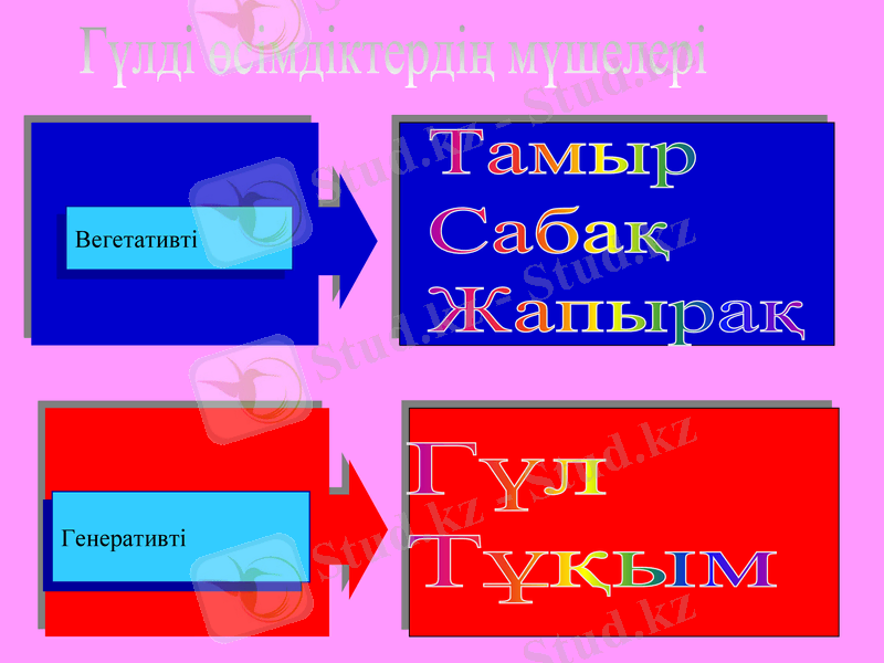 Slide 13