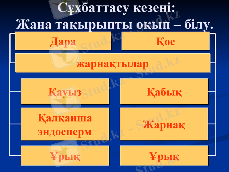 Slide 15