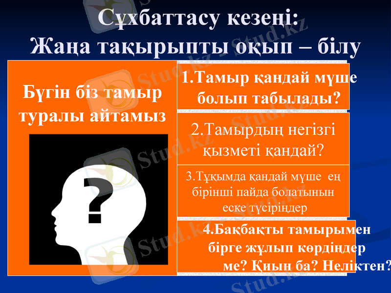 Slide 17