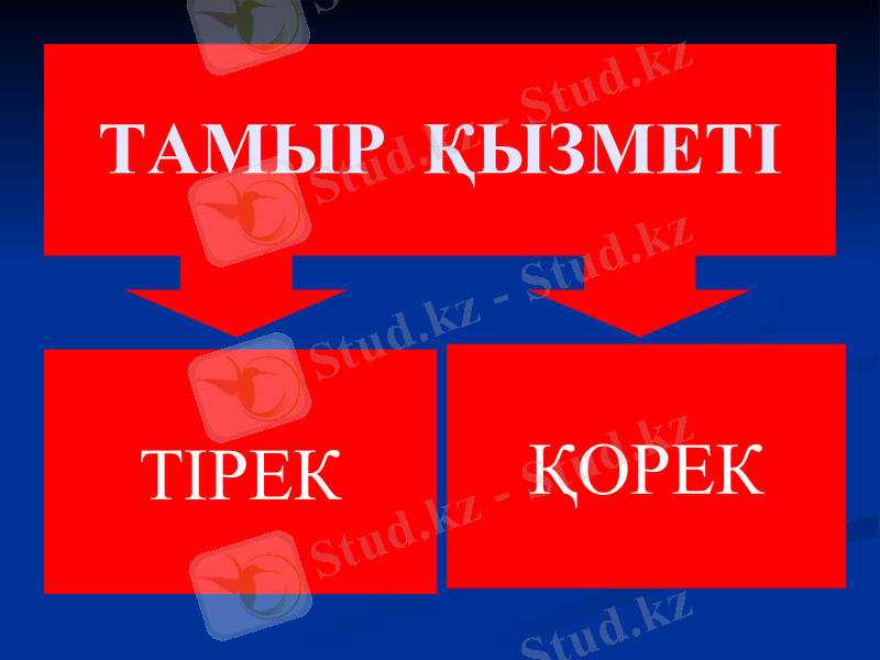 Slide 18