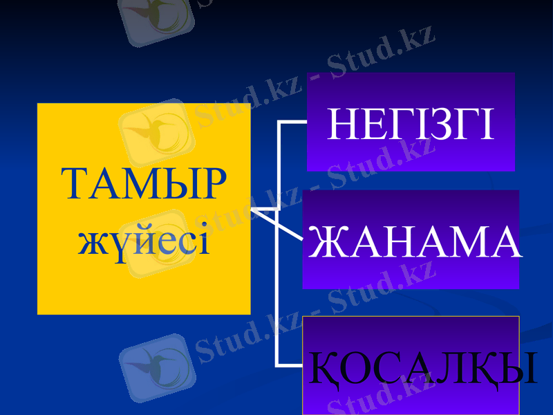 Slide 19