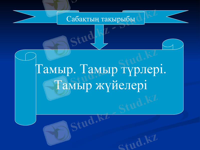 Slide 2