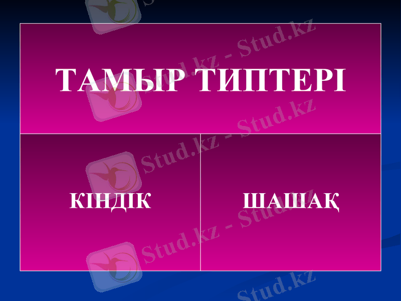 Slide 21