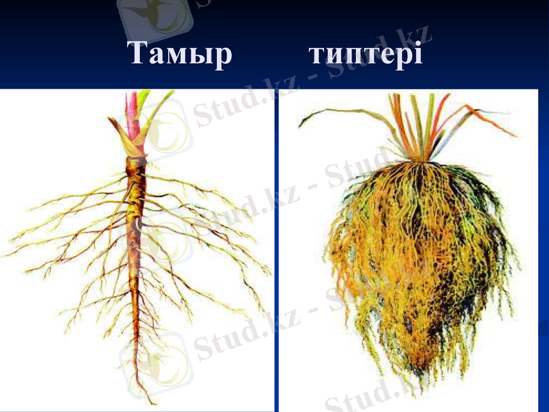 Slide 22