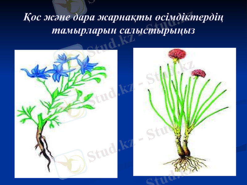 Slide 23