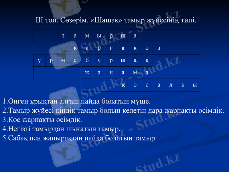 Slide 31