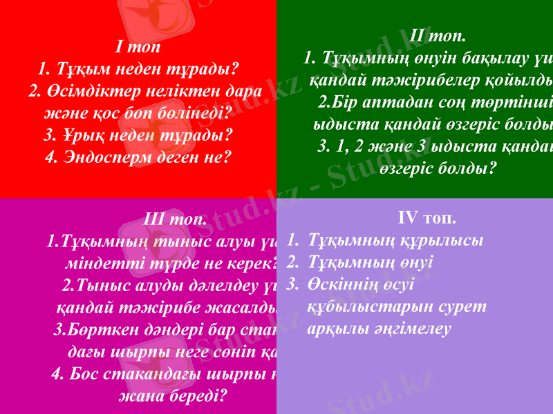 Slide 9