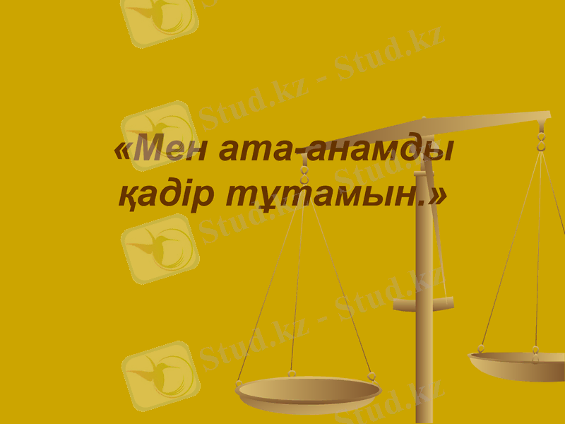 Slide 13
