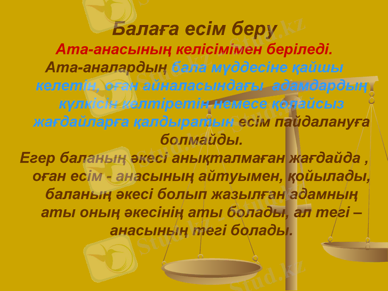 Slide 8
