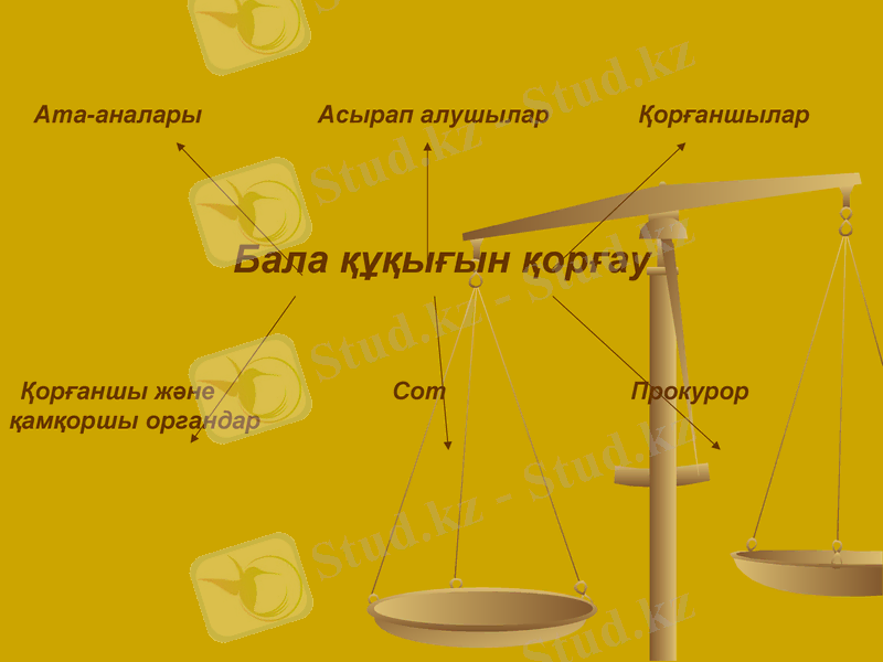 Slide 9