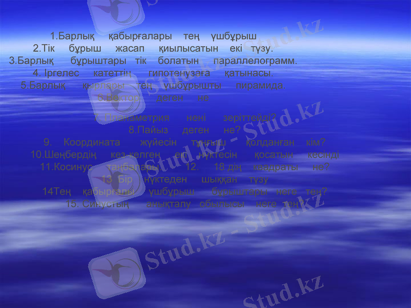 Slide 13