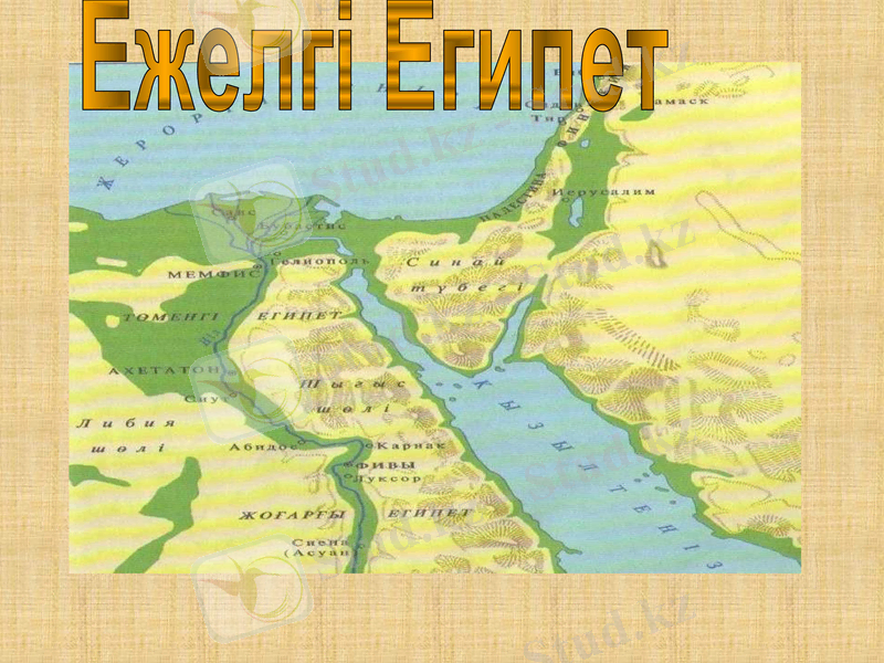 Slide 1