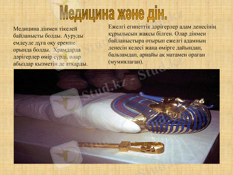 Slide 12