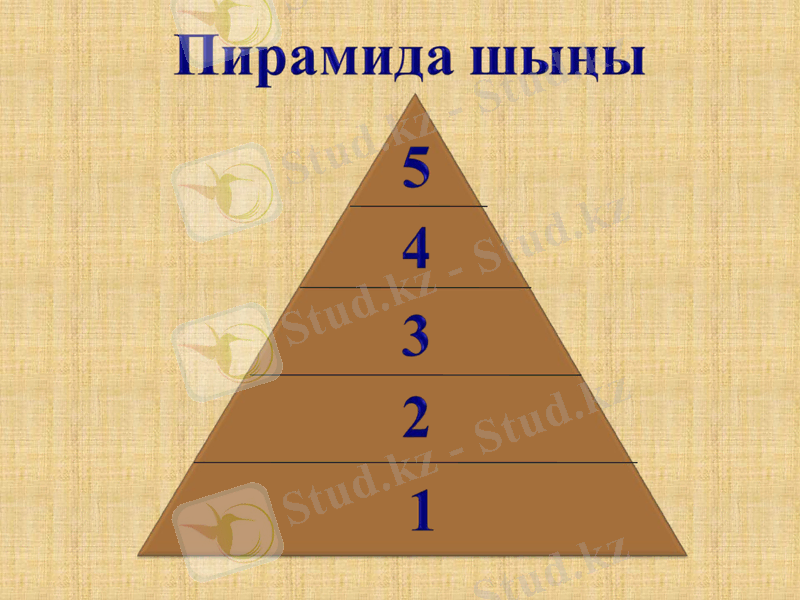 Slide 13