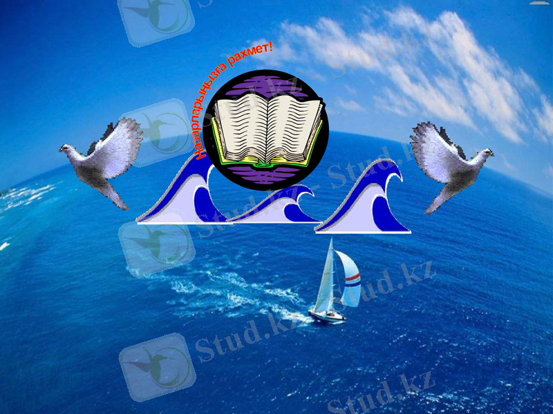 Slide 24