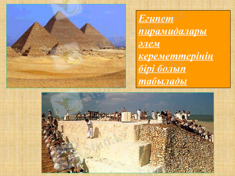 Slide 8