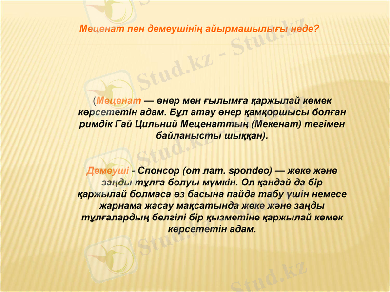 Slide 13