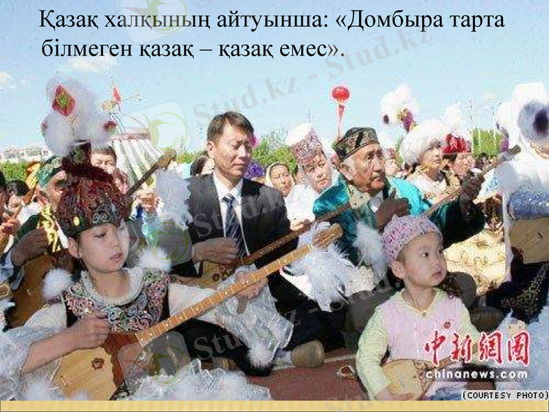 Slide 8