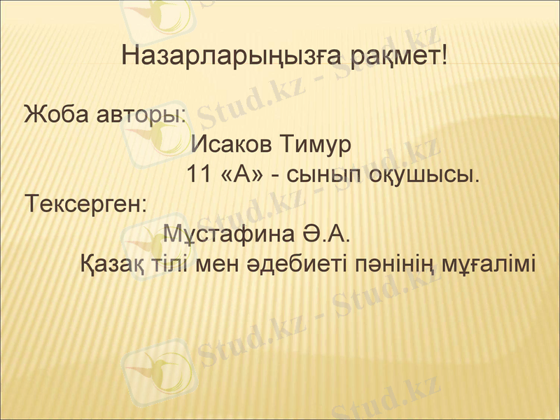 Slide 9