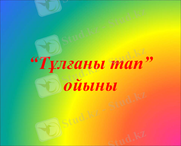 Slide 11