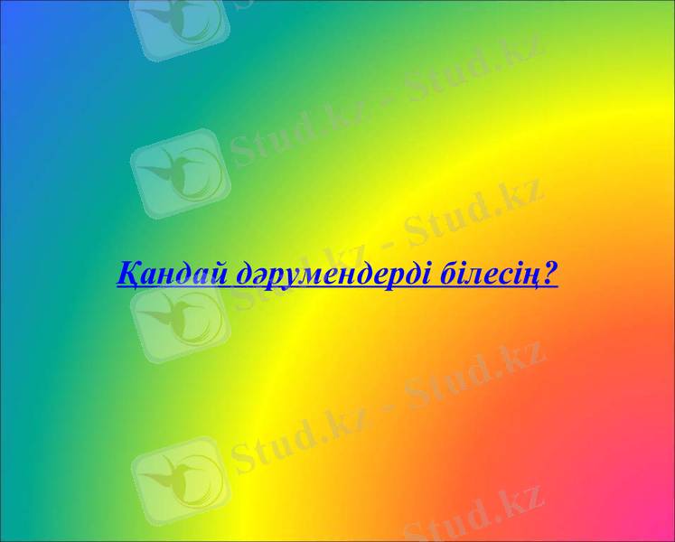 Slide 13