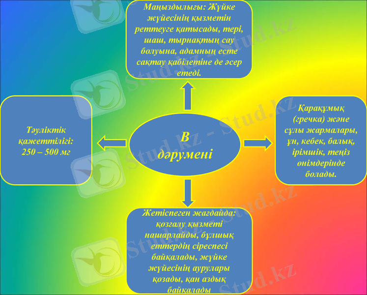 Slide 6