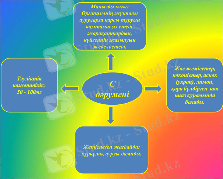 Slide 7