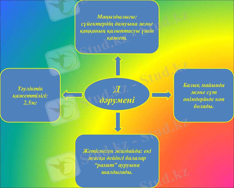 Slide 8