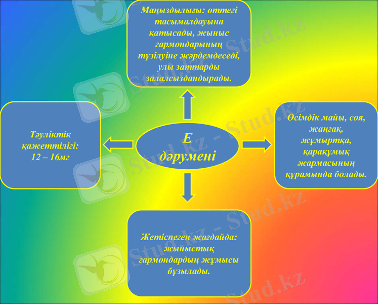 Slide 9