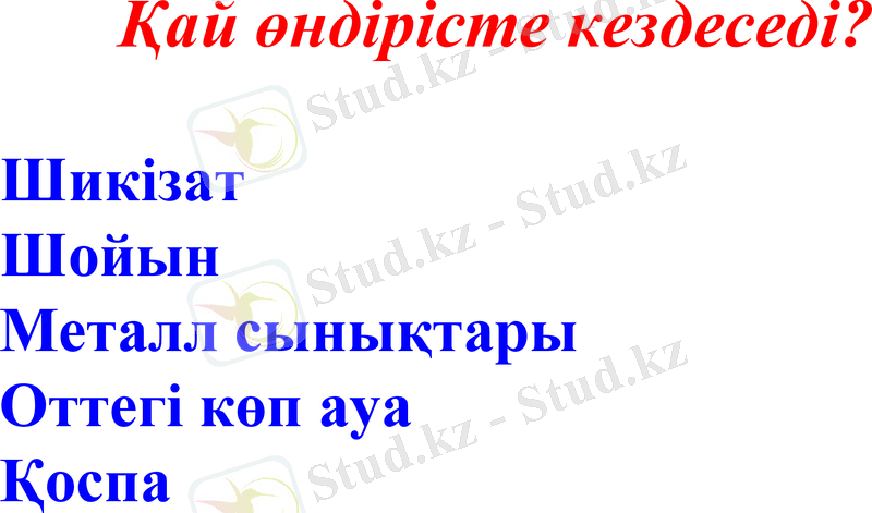 Slide 16