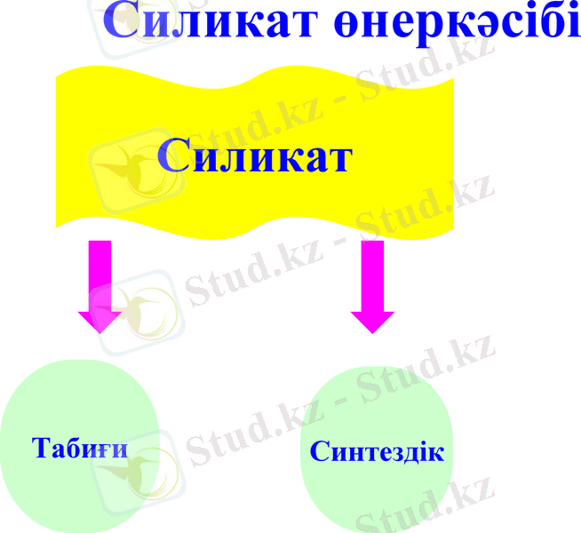 Slide 19