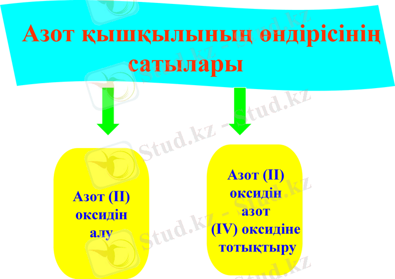 Slide 24