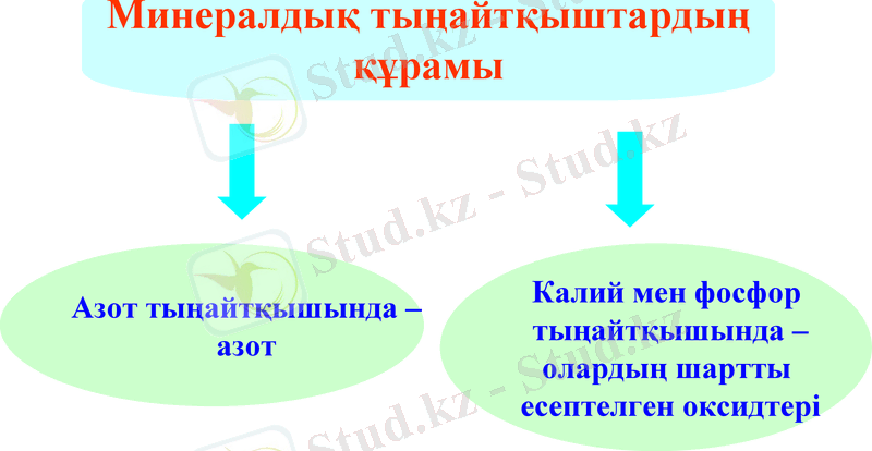Slide 27
