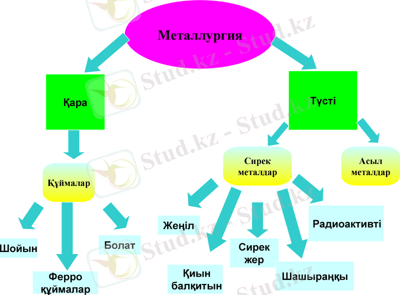 Slide 8