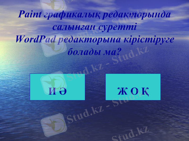 Slide 24
