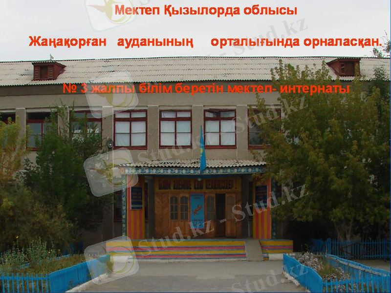 Slide 1