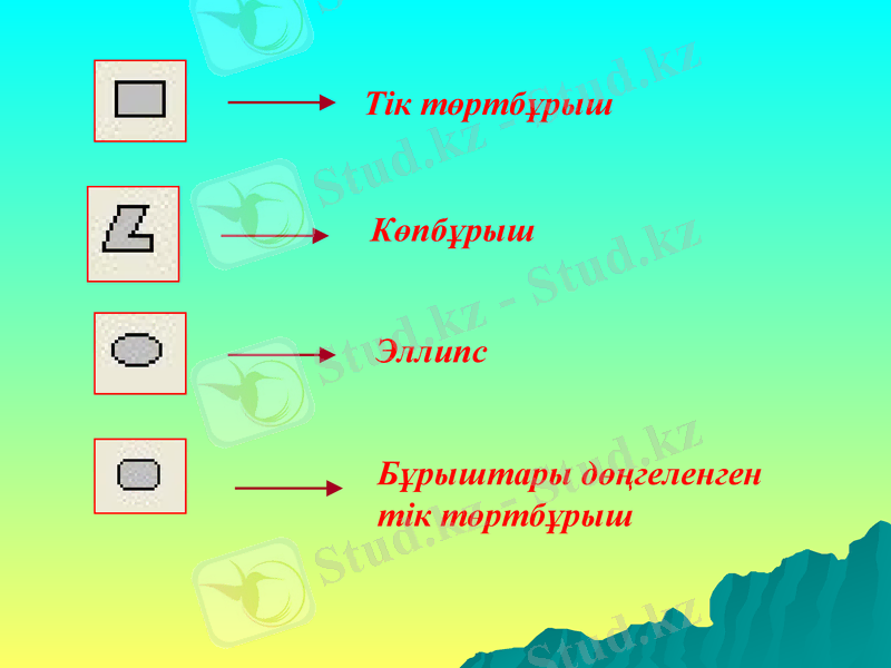 Slide 11
