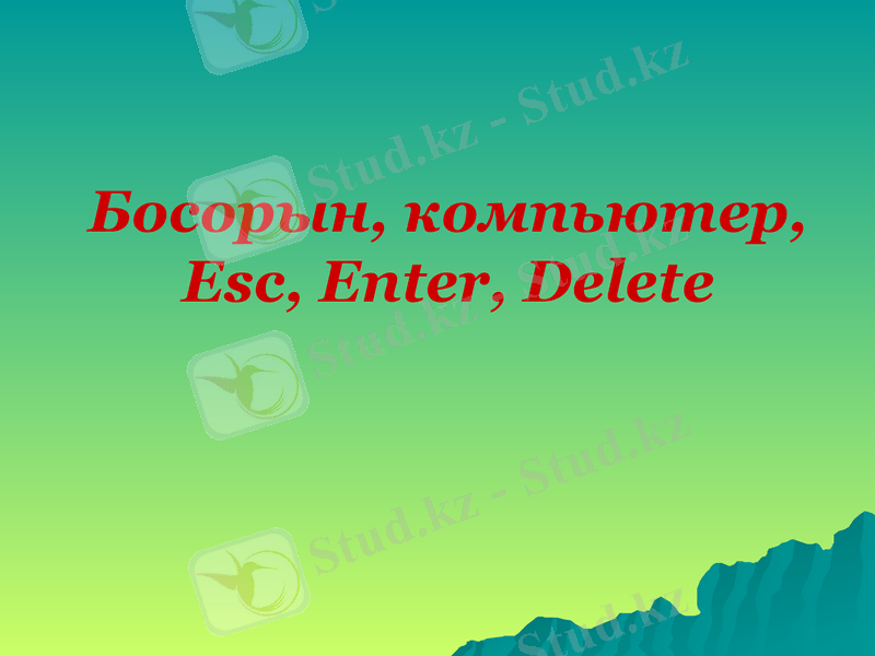 Slide 19
