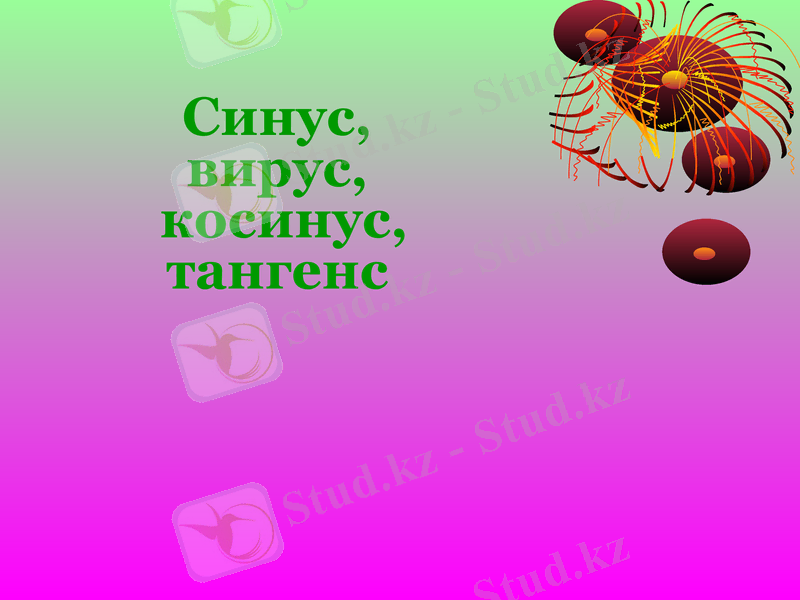 Slide 20