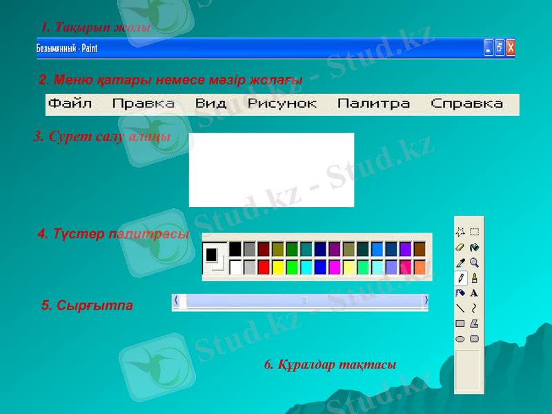 Slide 7