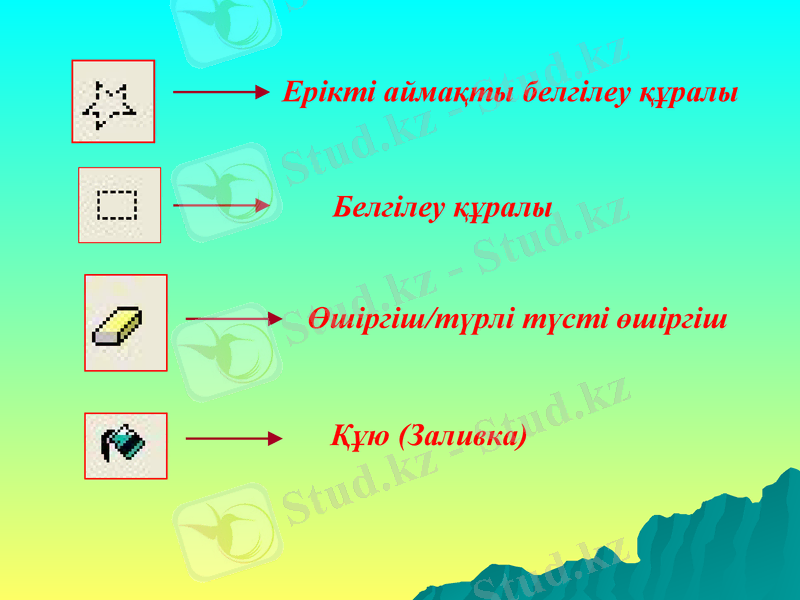 Slide 8