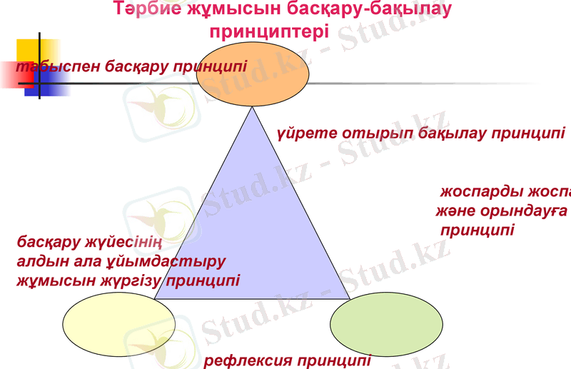 Slide 25