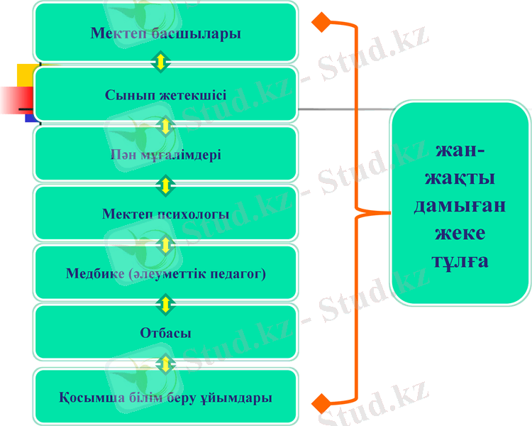 Slide 8