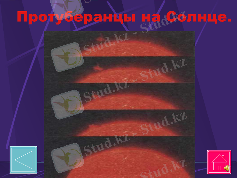 Slide 10