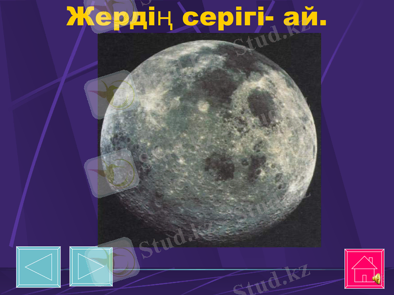Slide 13